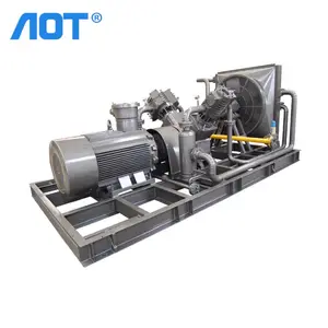 Industrial Gas Filling Station CNG Compressor Piston Air Compressor High Pressure V Type 18.5KW Gas Compressor Machines