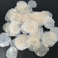 Vente chaude 1 Kg Capiz Shell Pieces Natural Shell Matières premières pour carillons éoliens décoratifs et accessoires d'artisanat