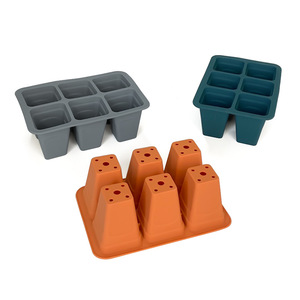 6 Cavities Silicone Seed Starter Tray, Indoor Reusable Seedling Grow Tray for Vegetable, Flowers, Herb Plant - Product Image 1