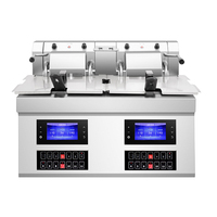 Friteuse Électrique Commerciale à Levage Automatique 8L+8L pour Restaurants, Hôtels et Commerces Alimentaires – Neuve pour Frites
