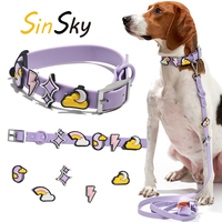 SinSky Fashion Laisse et Collier en Silicone pour Animaux de Compagnie, Accessoires d'Apparat avec Logo Personnalisé, Charme de Collier de Luxe en PVC Imperméable pour Chats et Chiens