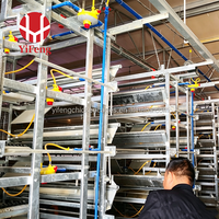 Système de cage d'élevage intensif de type H pour poussins, avec alimentation et abreuvement automatiques, pour fermes avicoles de moyenne et grande taille
