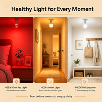 Ampoule LED A19 à changement de couleur (3 couleurs), sans lumière bleue, AC 85-265V, E26/E27, 5W/7W/9W, pour un sommeil sain, usage résidentiel