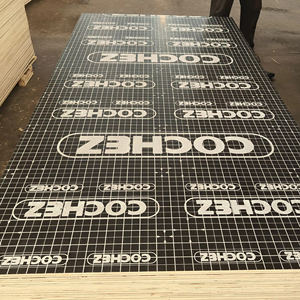 Противоскользящая фанерная пленка, водостойкая, 12 мм - Product Image 1