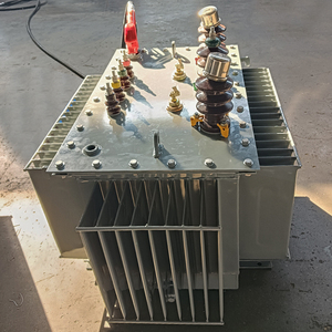 Transformador Trifásico para Exteriores de 10KV, 220V a 380V, 1000kVA, con Capacidad de 300kVA, 200kVA y 10kVA - Product Image 4