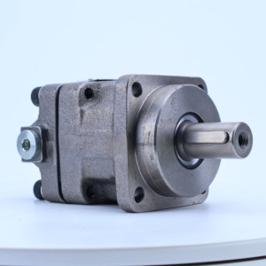 มอเตอร์แบบเคลื่อนที่คงที่รุ่น F11-006/010 F11-010-RB-CV-K-000 มอเตอร์รุ่น F11-010-MB-SH-K-000 มอเตอร์รุ่น F11-010-SB-CV-K-000 F11 - Product Image 5