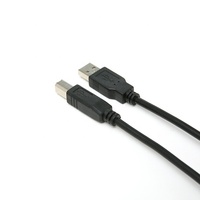 Câble d'imprimante USB 2.0 haute vitesse mâle A vers mâle B avec ferrite
