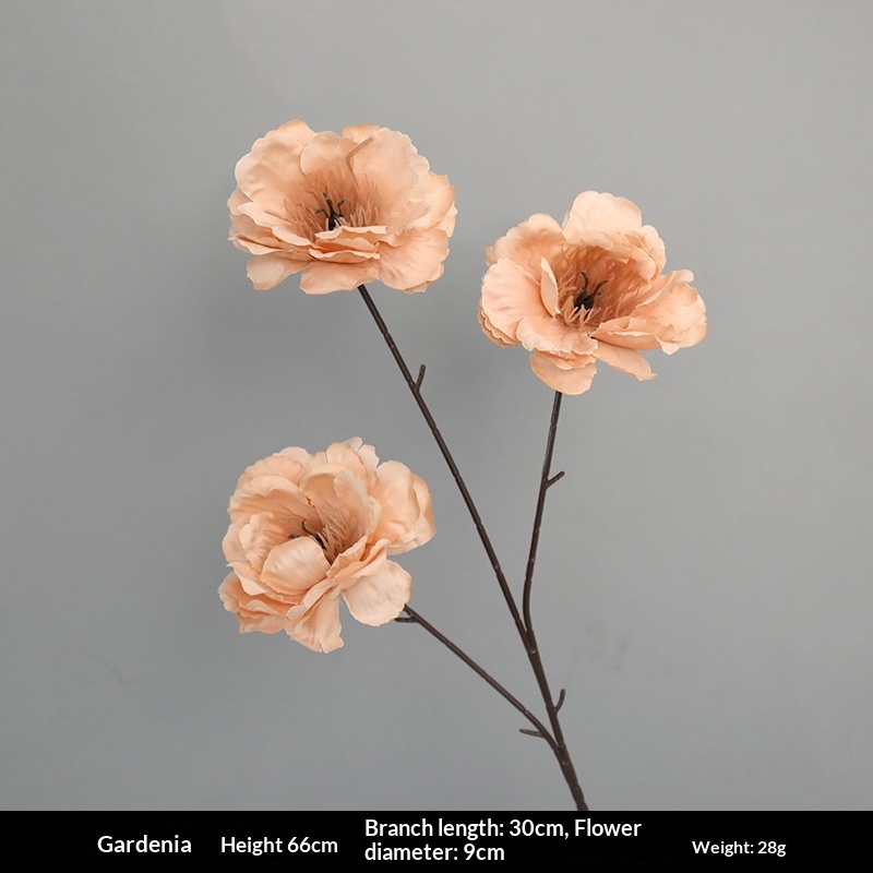 3 heads of gardenia flower
