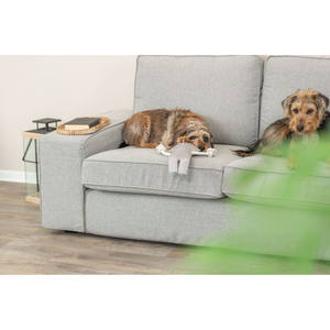 Juguete de Peluche de Mapache de 33 cm, Juguete Interactivo para Mascotas - Product Image 6