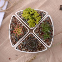 Pot de fleurs en céramique en forme de triangle à prix compétitif, blanc, moderne, décoratif, pour table