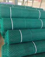 Устойчивая к УФ-излучению геосетка из HDPE для защиты склонов, фиксации растительности, укрепления берегов рек и экологической реставрации