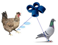 Bague de Pied RFID Intelligente Colorée pour Oiseaux, Poulets et Pigeons, de Bonne Qualité LF 134.2 Khz HitS256
