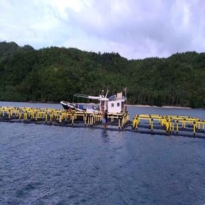 Small & Medium Size Square <b>Floating</b> <b>Fish</b> Cage Anti-corrosion Aquaculture Equipment - Product Image 5