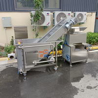 Automatische Dubbele Roller Sapcentrifuge Grapefruit Sapmachine RVS Citruspers