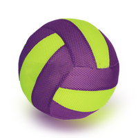 Jouets gonflables en PVC personnalisés, petite balle d'eau pour enfants, volley-ball en tissu