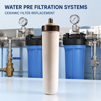 Cartouche filtrante en céramique de 10 pouces en gros, élément de remplacement pour systèmes de filtration d'eau commerciaux
