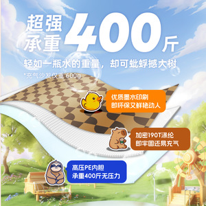 <b>Inflatable</b> <b>Sofa</b> Air Mattress Portable Outdoor <b>Camping</b> Picnic Chair Music Festival Bed Lightweight Polyester 600g - Product Image 5