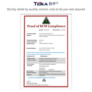 Cargador Rápido Riddle Pd20W, Salida de 20W, Certificado SAA, Adaptador de Corriente Estándar de Australia y Nueva Zelanda - Product Image 4