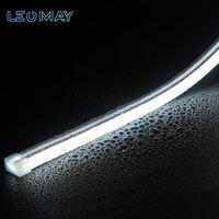 Usine OEM & ODM, ruban lumineux LED décoratif en PVC flexible, néon, IP65, étanche, pour l'aménagement paysager, intérieur et extérieur