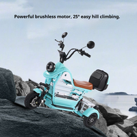 Vélo électrique WindChaser 10 pouces - Batterie au lithium 48V 13-30Ah, moteur sans balais 400W, freins à disque avant/tambour arrière, cadre en acier au carbone, 7 vitesses