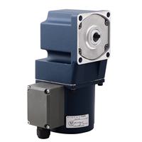 Moteur à engrenages hélicoïdaux AC monophasé 110V 220V de haute qualité, personnalisable, à vitesse réglable, à angle droit, pour imprimante, 25W IE2