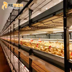 2018 nueva tecnología equipo avicultura sistema jaula de pollos de engorde