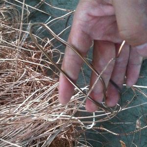 High Purity 99.99% Bulk <b>Copper</b> <b>Scrap</b> Quality <b>Scrap</b> <b>Copper</b> Wire <b>Scrap</b> - Product Image 1