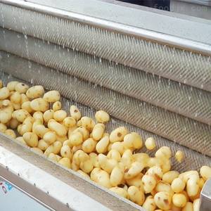 Laveuse-éplucheuse industrielle multifonction à rouleaux pour pommes de terre, carottes, gingembre et légumes racines - Product Image 3