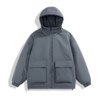Plume de canard chaude et légère à prix abordable logo personnalisé vestes d'hiver à capuche en nylon noir en duvet pour hommes
