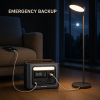 Station d'alimentation LiFePO4 288Wh avec fonction UPS, charge rapide, générateur solaire portable GenDome GO300 300W pour les pannes de courant à domicile