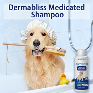 Gli <span class=keywords><strong>Shampoo</strong></span> <span class=keywords><strong>per</strong></span> <span class=keywords><strong>cani</strong></span> a marchio privato alleviano varie condizioni della pelle <span class=keywords><strong>dermatite</strong></span> seborroica <span class=keywords><strong>Shampoo</strong></span> biologico <span class=keywords><strong>per</strong></span> animali domestici <span class=keywords><strong>per</strong></span> <span class=keywords><strong>cani</strong></span> - Product Image 4