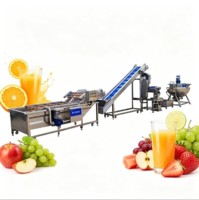 Mini-ananas mango kleine appel sap productielijn multifunctionele fruitensap complete productielijn voor alle vruchten