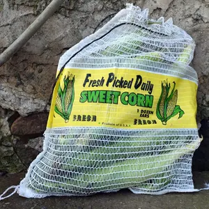 China Landbouw Groenten Kokosnoot Schelpdieren Mosselen Zoete Maïspinda 'S Aardappelui Verpakking Netzakken Met Logo