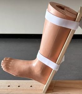Modèle d'enseignement médical chirurgical de la jambe gauche fixée - Modèle anatomique du chromosome X en PVC de haute qualité pour l'entraînement - Product Image 4