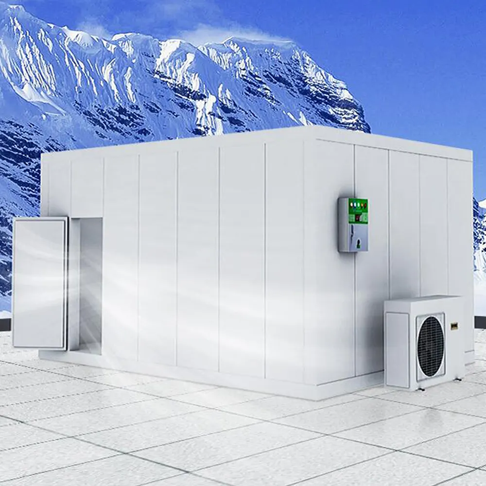 Enfriador de temperatura de tamaño personalizado, refrigerador y congelador para habitación