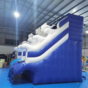 Tobogán Acuático Comercial <span class=keywords><strong>para</strong></span> Jardín a Precio <span class=keywords><strong>de</strong></span> Fábrica, <span class=keywords><strong>Piscina</strong></span> <span class=keywords><strong>para</strong></span> Niños y Adultos, Juegos Divertidos al Aire Libre, Tobogán Seco, Castillo Inflable - Product Image 4