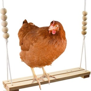 <span class=keywords><strong>Gallos</strong></span> gallina pollitos pájaros domésticos universal de madera maciza entretenimiento columpio juguete colgante Fácil instalación - Product Image 1