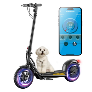 ผู้ผลิตสกู๊ตเตอร์ไฟฟ้าราคาประหยัด มอเตอร์คู่ ระยะทางไกล - Product Image 6