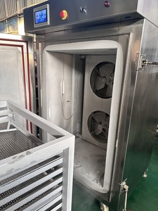 -196 ℃ Congelador de nitrógeno líquido de temperatura ultrabaja Congelador de nitrógeno líquido de mariscos comercial Congelación rápida de cinco minutos - Product Image 3