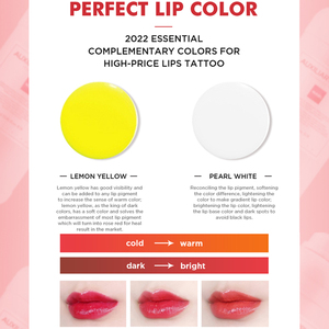 Nuojo Hữu Cơ C4 Trang Điểm Vĩnh Viễn Mực Cho Lông Mày Chỉnh Sửa Cơ Sở Sắc Tố 16 Màu Sắc Nhanh Màu - Product Image 2