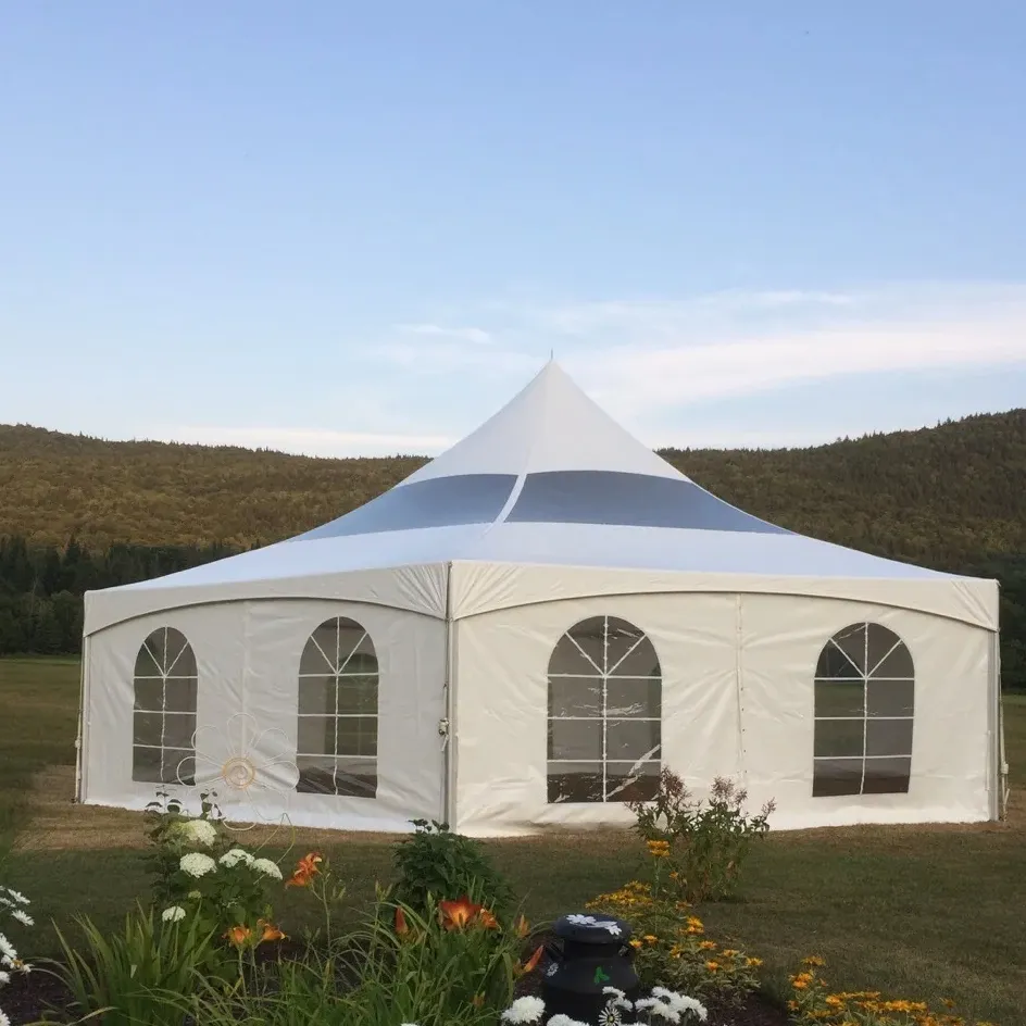 Hot Selling Waterdichte Tent 15 Ft X 15 Ft (4.6 M X 4.6 M) Buiten Grote Canvas Evenement Tenten Luifel Tent