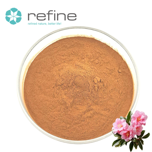 Hot Selling Wholesale Price Pelargonium <strong>Sidoides</strong> Extract Powder Pelargonium <strong>Sidoides</strong> - Product Image 2