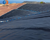 Membrane Géomembrane HDPE Imperméable à Prix Compétitif pour Déchiquetage, Bassin Piscicole, Réservoir, Canal, Barrage - Anti-Infiltration - Vente Chaude