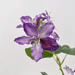 Flores Artificiales de Bauhinia, Rama Individual de Seda, Alta Simulación, Decoraciones para Bodas, Accesorios de Decoración para el Hogar - Product Image 2