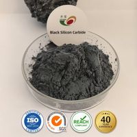 Poudre de carbure de silicium noir 98,5% lavée à l'eau, 2000 3000 4000 Mesh, prise en charge OEM pour le polissage et le rodage ultra-fins