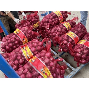 Meilleure saveur épicée petit oignon rouge naturel 5-7cm importateur de Chine fournisseur d'oignons grande <span class=keywords><strong>taille</strong></span> oignon rouge frais légumes frais - Product Image 6