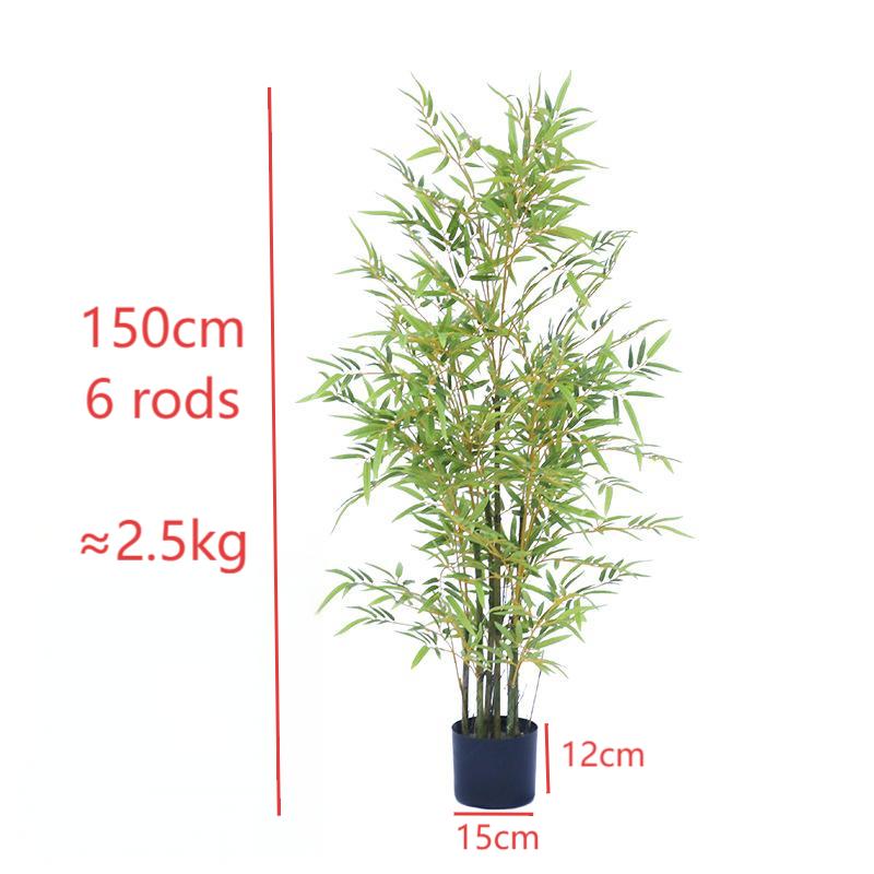 Yellow stem bamboo 150cm
