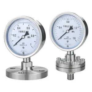 Gold Supplier DN15 DN20 DN80 Diaphragm Pressure Manometer Flange Type Pressure Gauge SS304