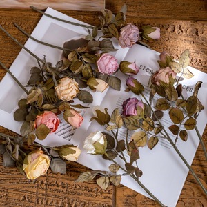 CallaFloral Flor Artificial de Rosa Seca de Doble Cabeza MW66014, Decoración para Interiores del Hogar, Accesorios para Bodas - Product Image 1