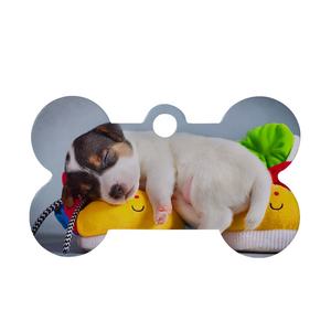 Двухсторонняя идентификационная бирка для собак в форме кости с индивидуальным логотипом - Product Image 2